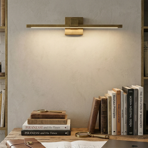 Corinth Brass Picture Light - Library Bookshelf Task Light | HoaiLamp