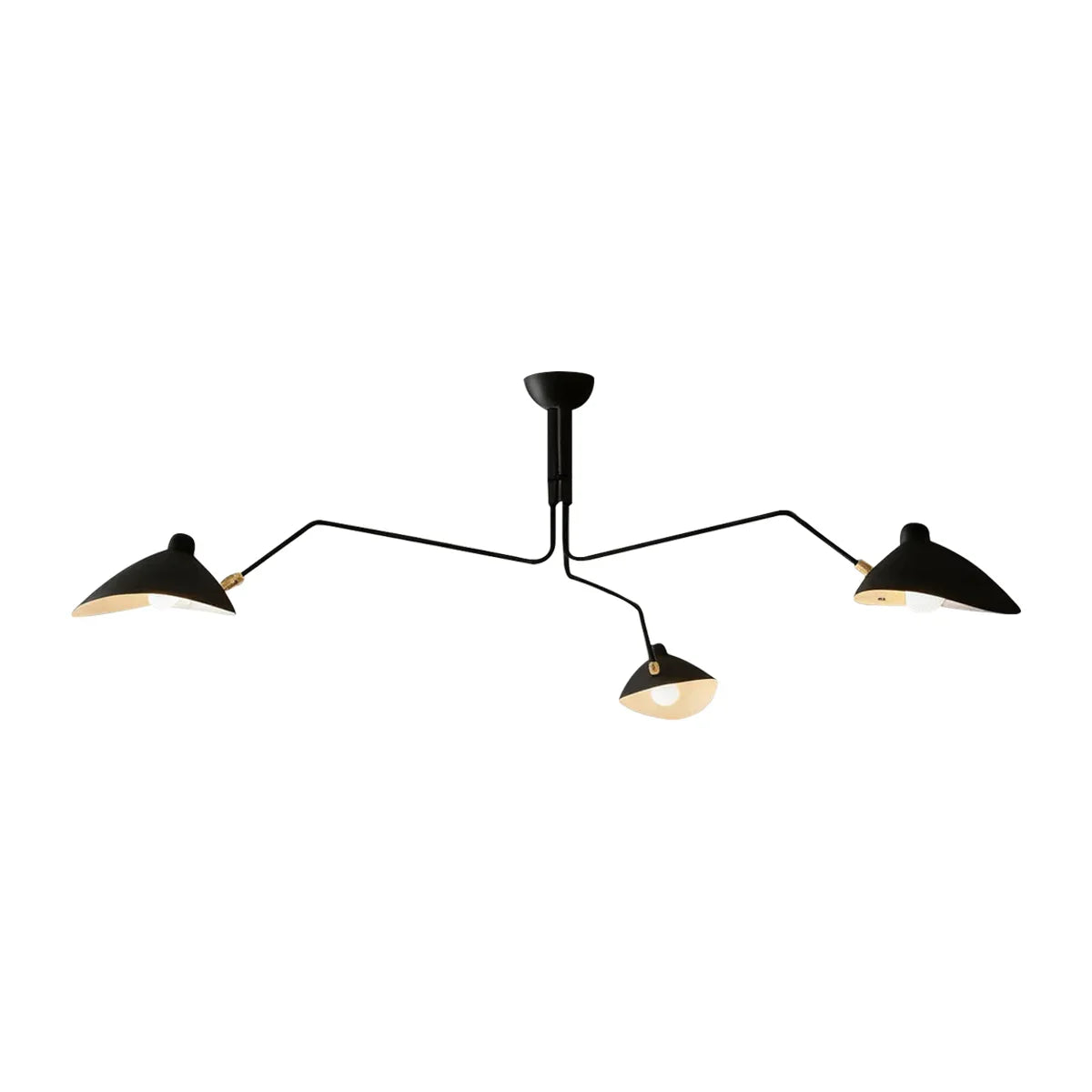 Duckbill Shaped Spider Ceiling Light