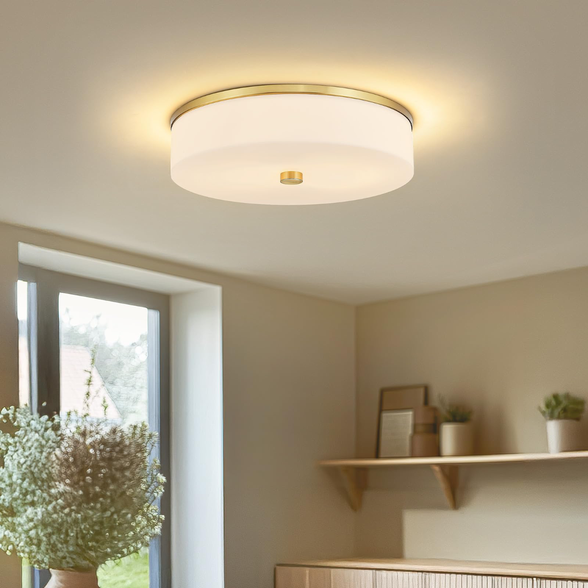 Ceiling Lights