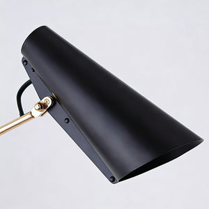Birdy Adjustable Wall Lamp - Matte Black Asymmetric Conical Shade Close-Up | HoaiLamp