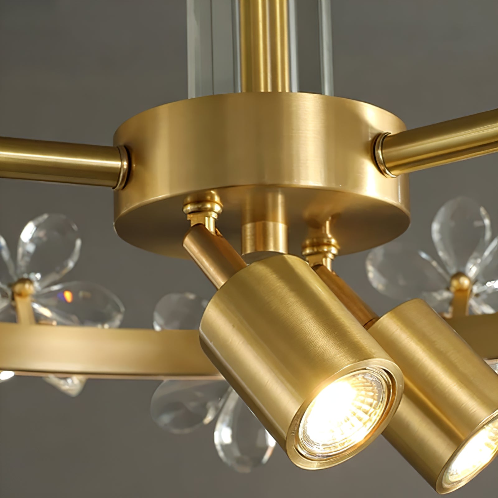 Circular Crystal Plum Blossom Ceiling Light - Brushed Brass Center Spotlight Hardware Mechanics | HoaiLamp