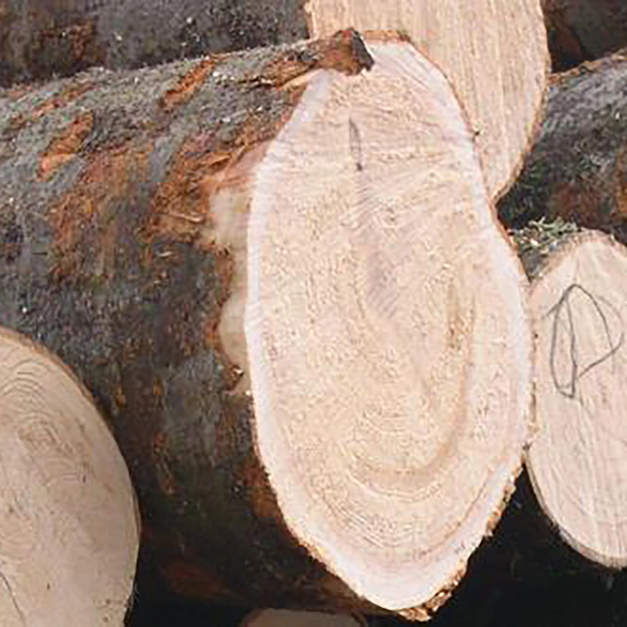 Premium Timber SelectionOur High-Quality Materials