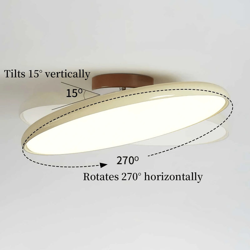 Adjustable Swivel Head
