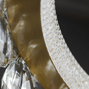Sparkling Crystal Plum Blossom Ceiling Light - Brushed Brass Canopy Rim Frosted Shading Close-Up | HoaiLamp